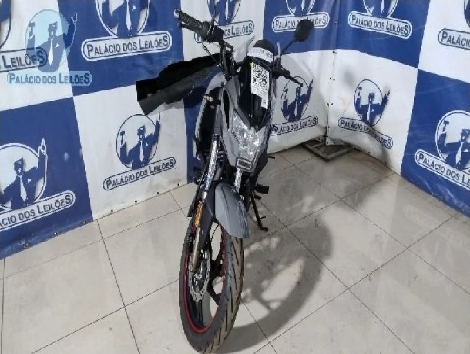 Foto lote 19